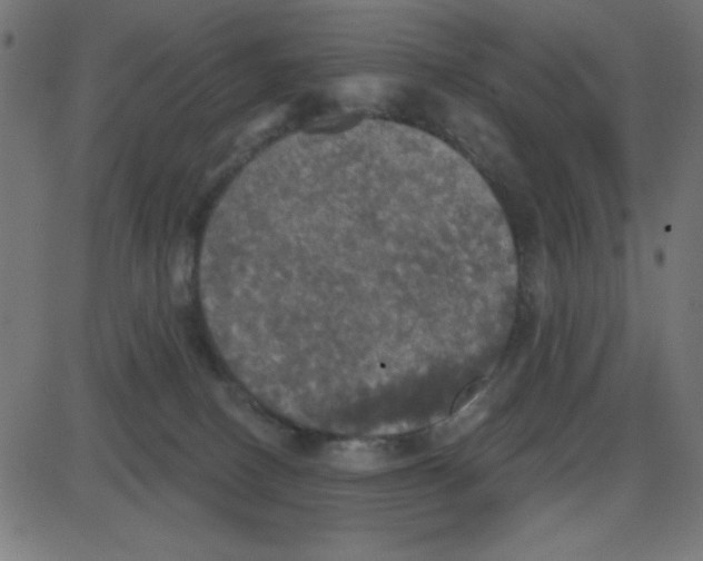 X0000087410082200705181408