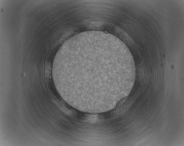 X0000087410083200705181408