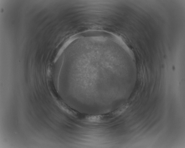 X0000087410084200705181408