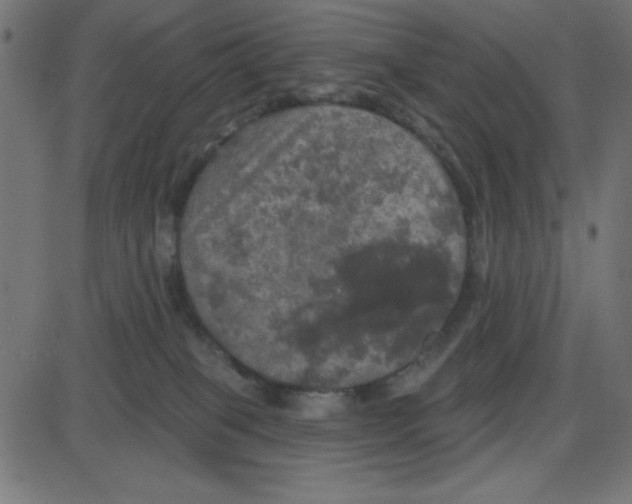 X0000087410085200705181408