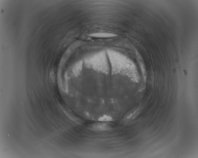 X0000087410086200705181408