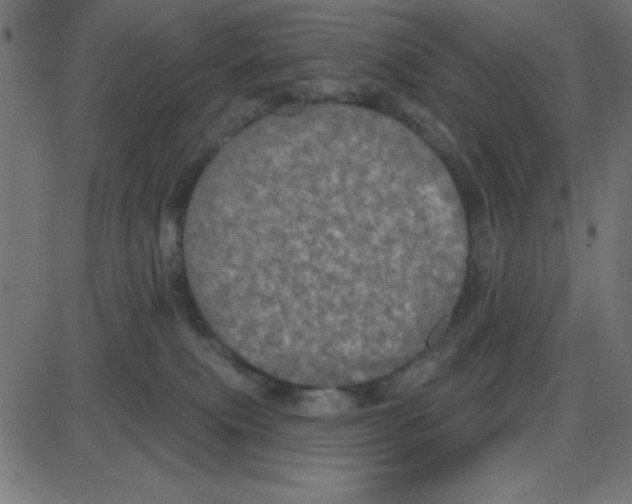 X0000087410087200705181408