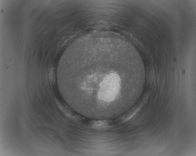 X0000087410088200705181408