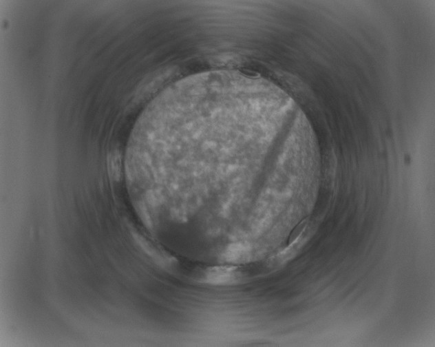 X0000087410090200705181408