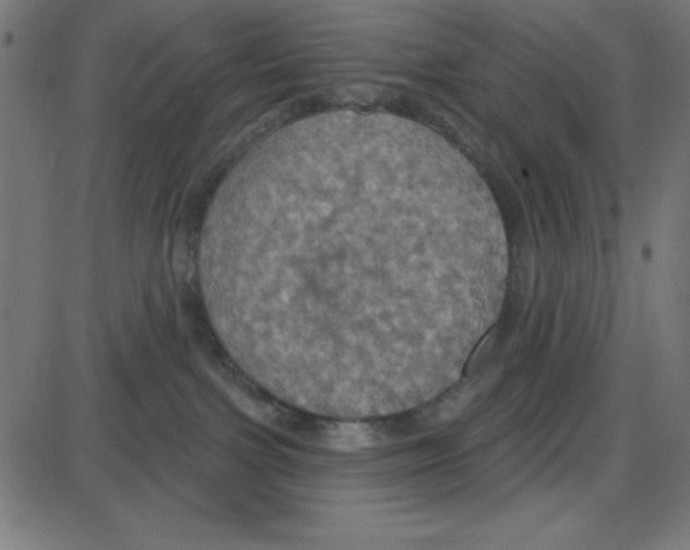 X0000087410091200705181408