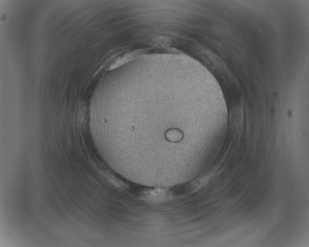 X0000087410092200705181408