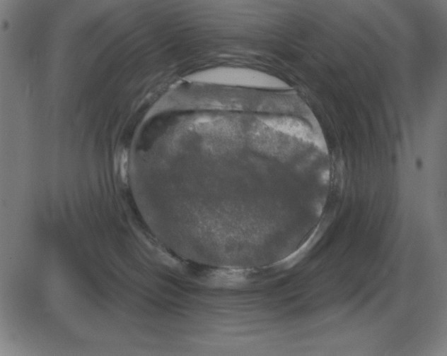 X0000087410094200705181408