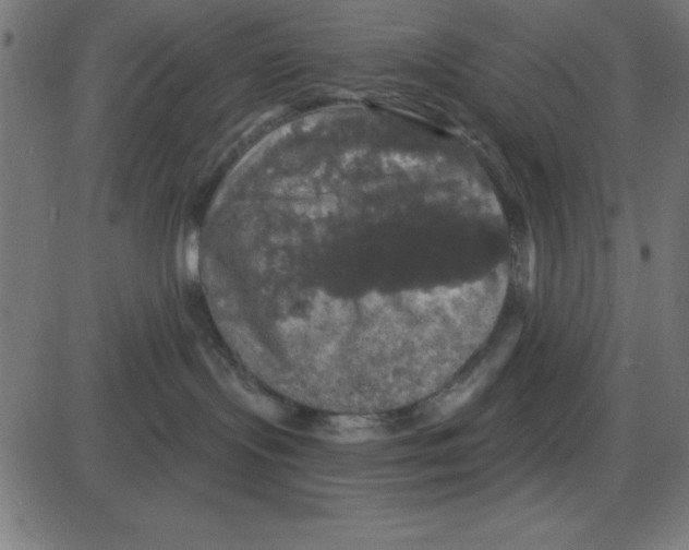 X0000087410095200705181408