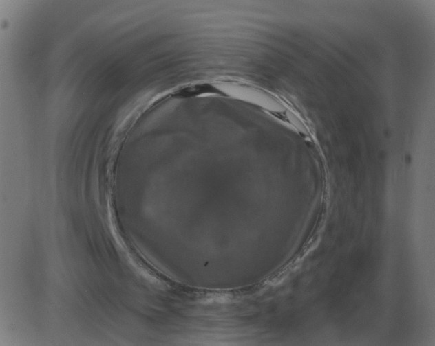 X0000087410097200705181407