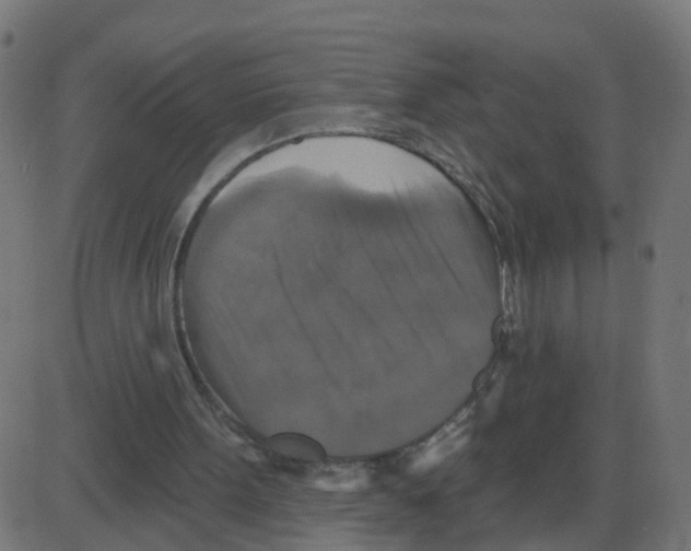 X0000087410099200705181407