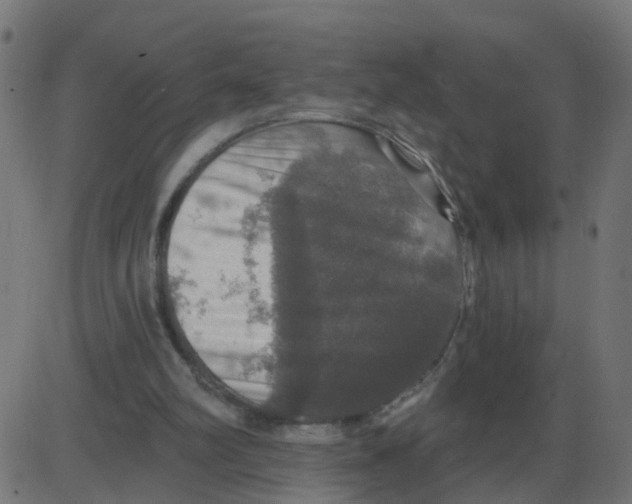 X0000087410102200705181407