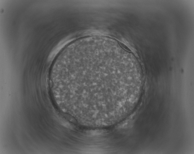 X0000087410103200705181407