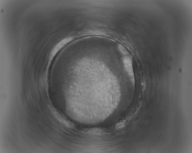 X0000087410104200705181407