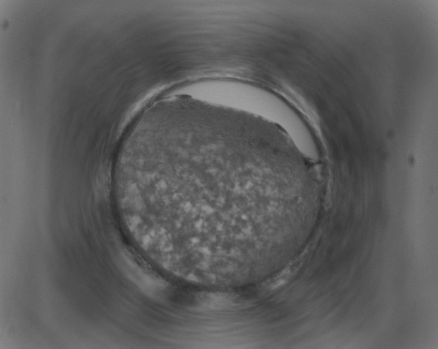 X0000087410107200705181407