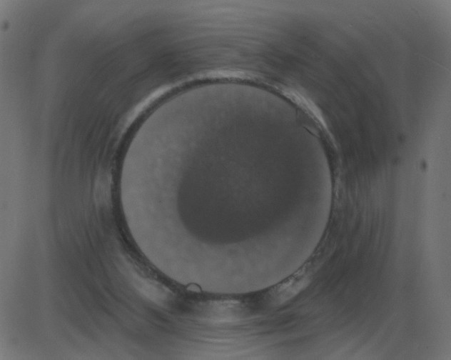 X0000087410108200705181407