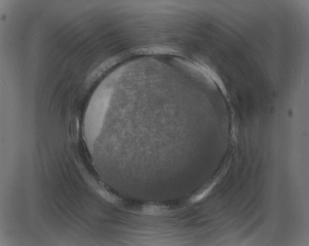 X0000087410109200705181407