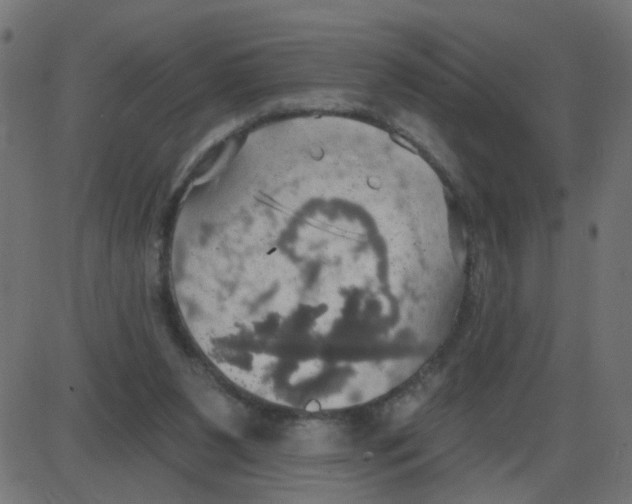 X0000087410111200705181407