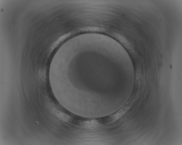 X0000087410112200705181407