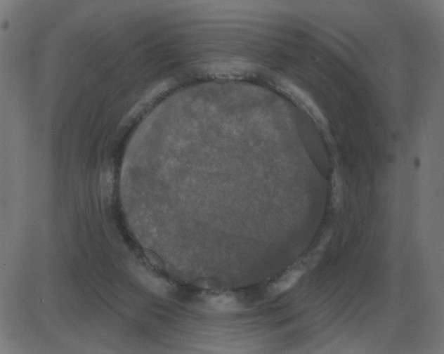 X0000087410113200705181407