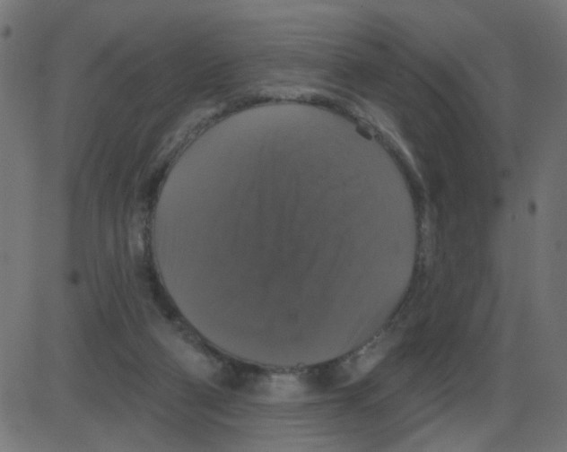 X0000087410114200705181407