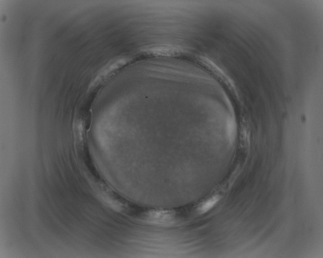 X0000087410117200705181407