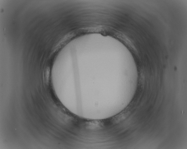 X0000087410118200705181407