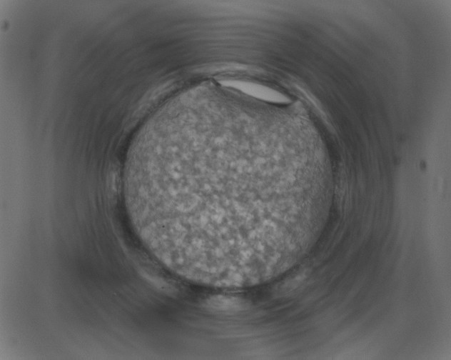 X0000087410119200705181407