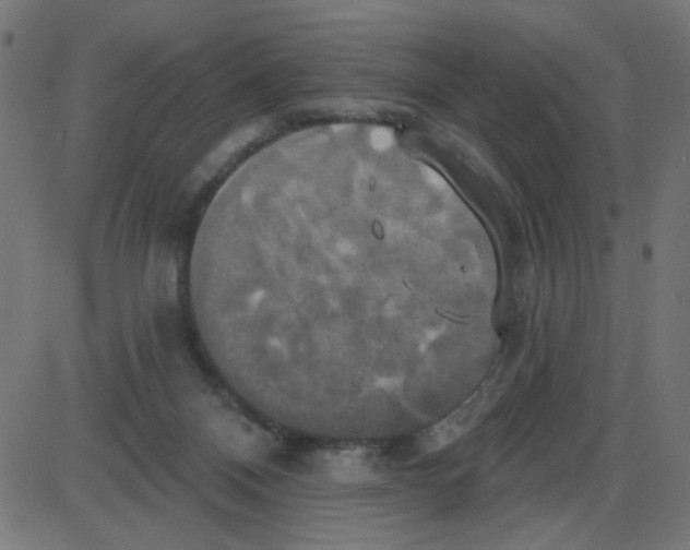 X0000087410120200705181407