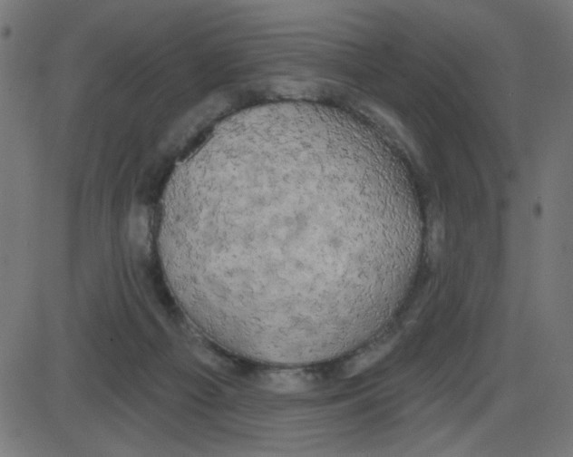 X0000087410121200705181407