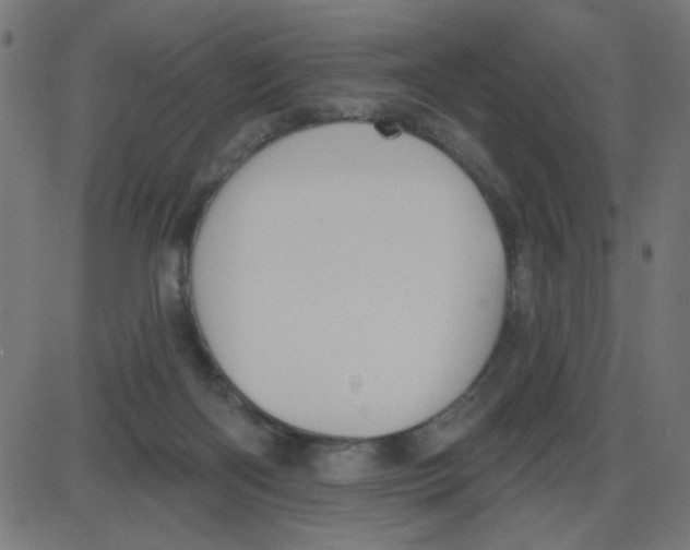 X0000087410122200705181407