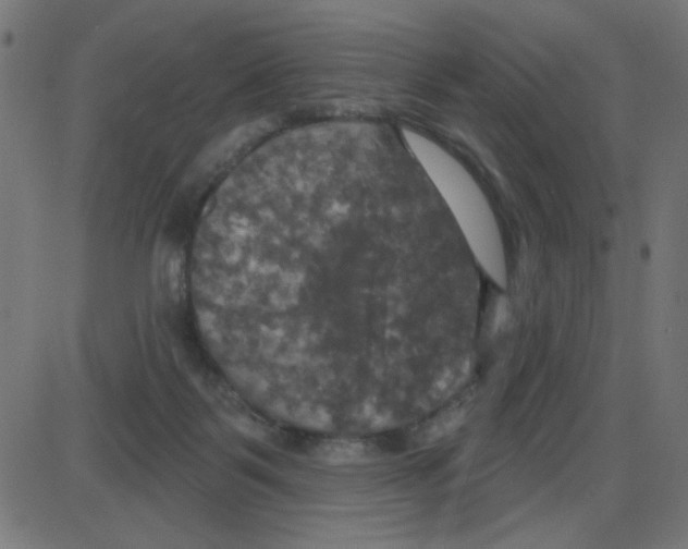 X0000087410123200705181407