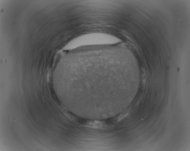 X0000087410125200705181407