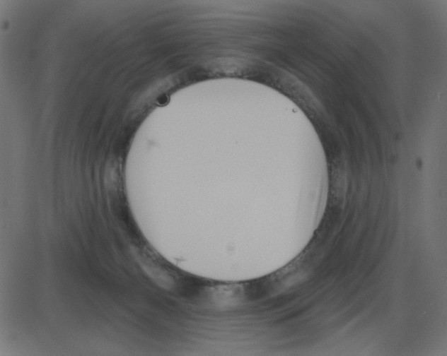 X0000087410126200705181407