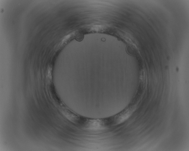 X0000087410127200705181407