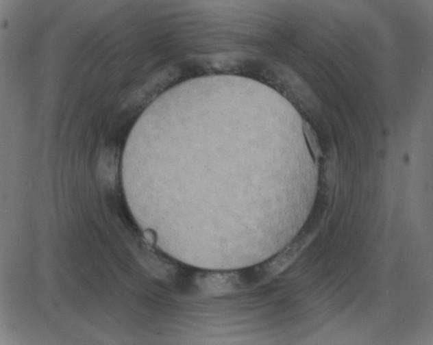 X0000087410129200705181407