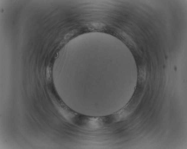 X0000087410130200705181407