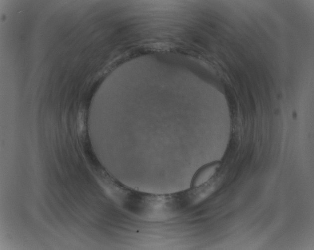 X0000087410131200705181407