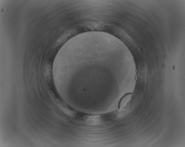 X0000087410132200705181407