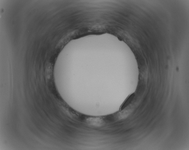 X0000087410133200705181407