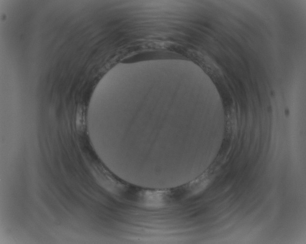 X0000087410134200705181407