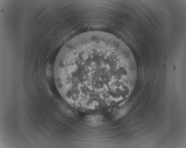 X0000087410135200705181407