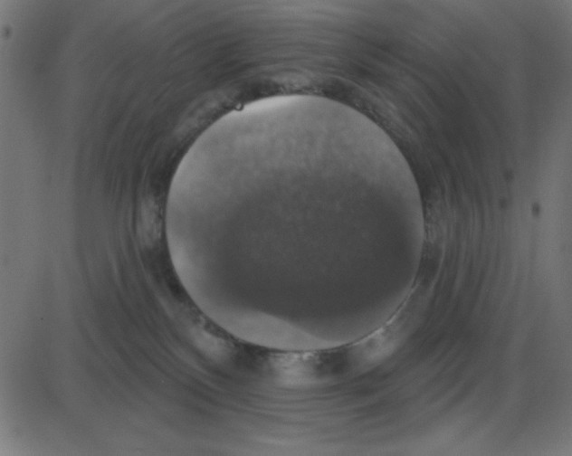 X0000087410136200705181407