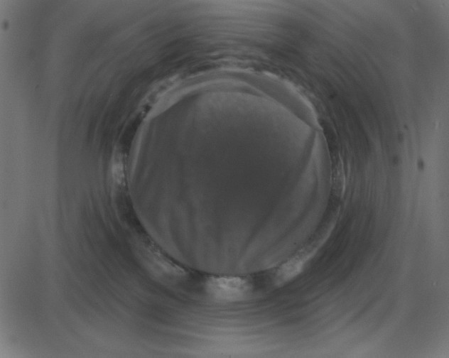 X0000087410137200705181407