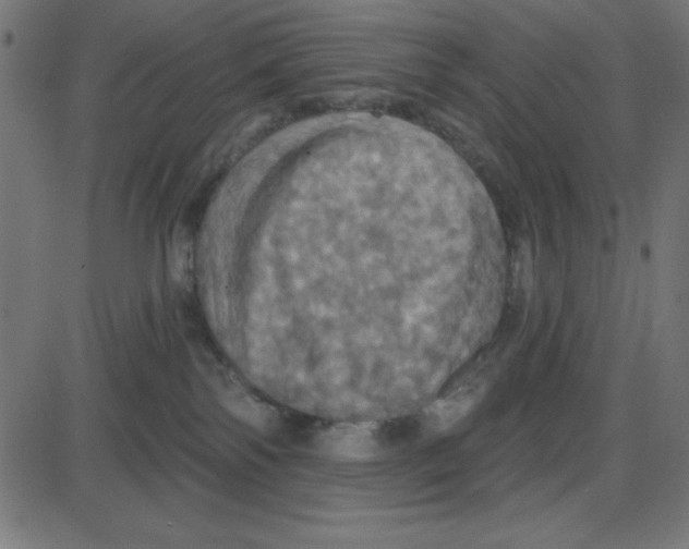 X0000087410138200705181407