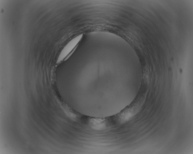 X0000087410139200705181407