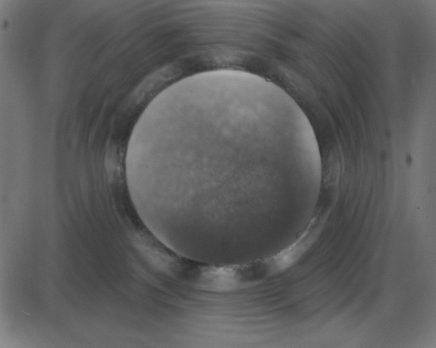 X0000087410140200705181407