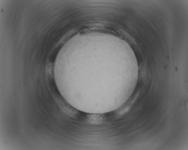 X0000087410141200705181407