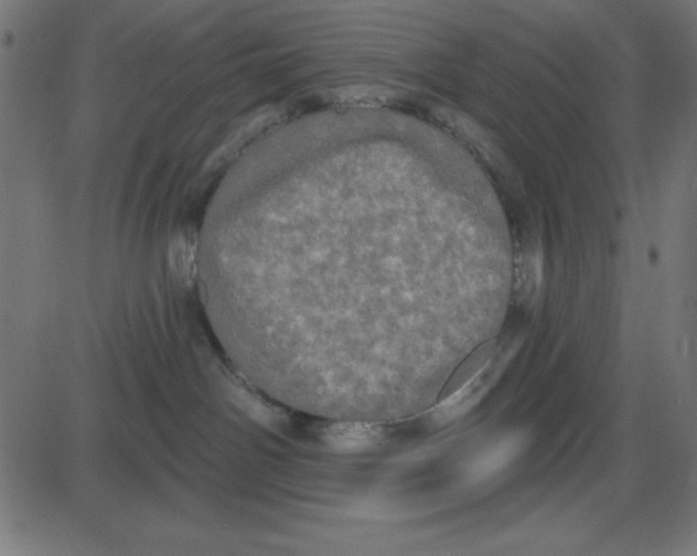 X0000087410142200705181407