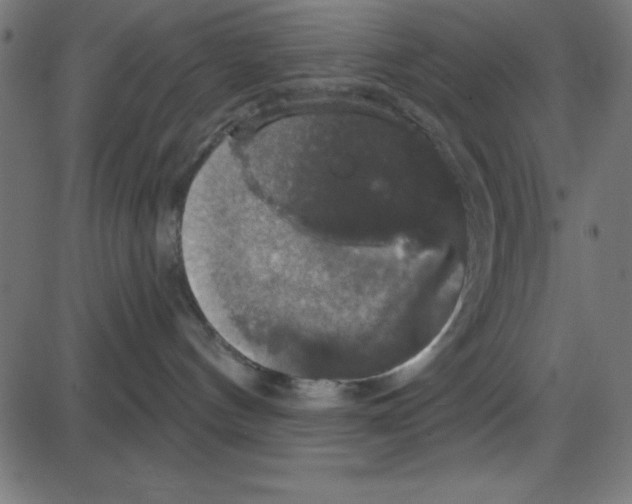 X0000087410144200705181407