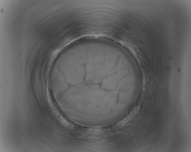 X0000087410145200705181406